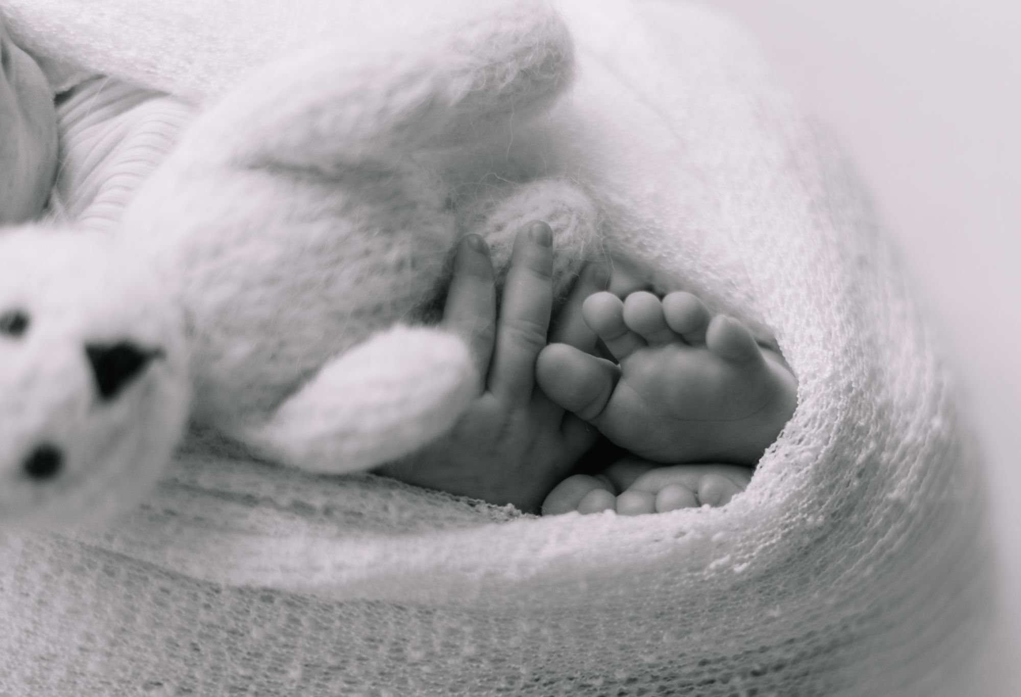 Newborn Collection portrait 2 — Sleeping newborn wrapped in neutral tones
